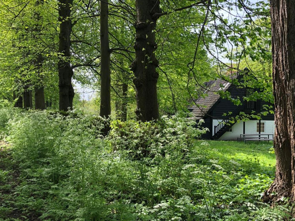Het Wagenhuis Loon op Zand Eksteriør bilde